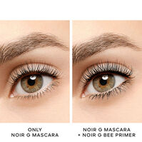 Noir G Bee Primer   Noir G Bee Primer   2